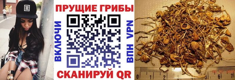 Галлюциногенные грибы мицелий Купить где Волосово